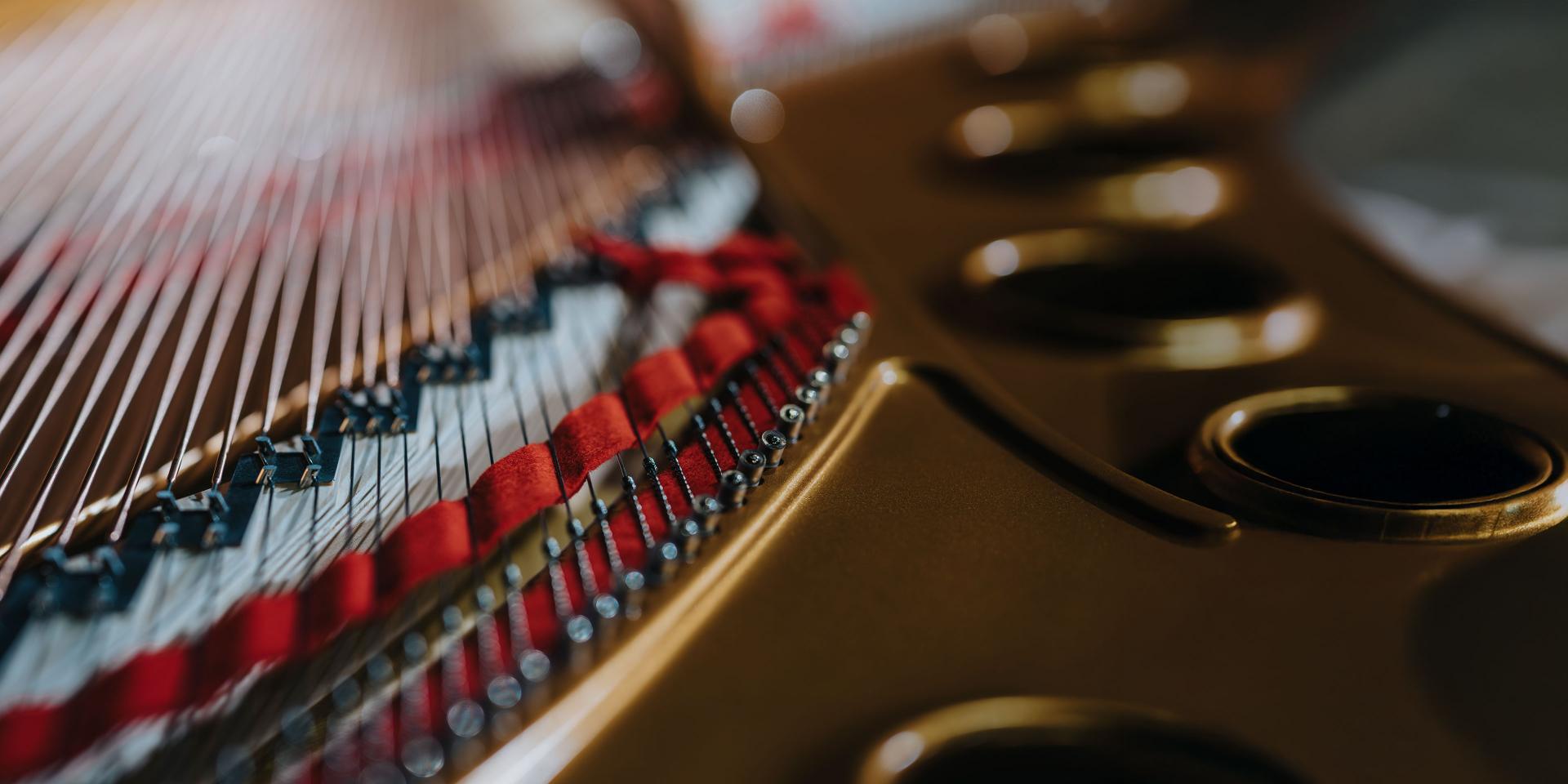 Close-up view of the interior strings and felt dampers of a grand piano.