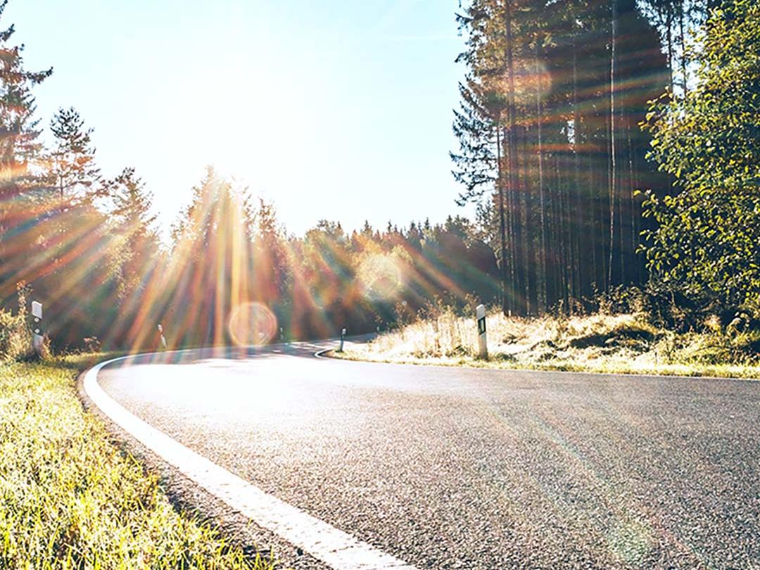 Een sliderafbeelding waarbij de ene helft een weg in het bos toont met fel zonlicht, en de andere helft dezelfde weg toont met verminderde schittering en verhoogd contrast, wat het effect van gepolariseerde zonnebrilglazen benadrukt.