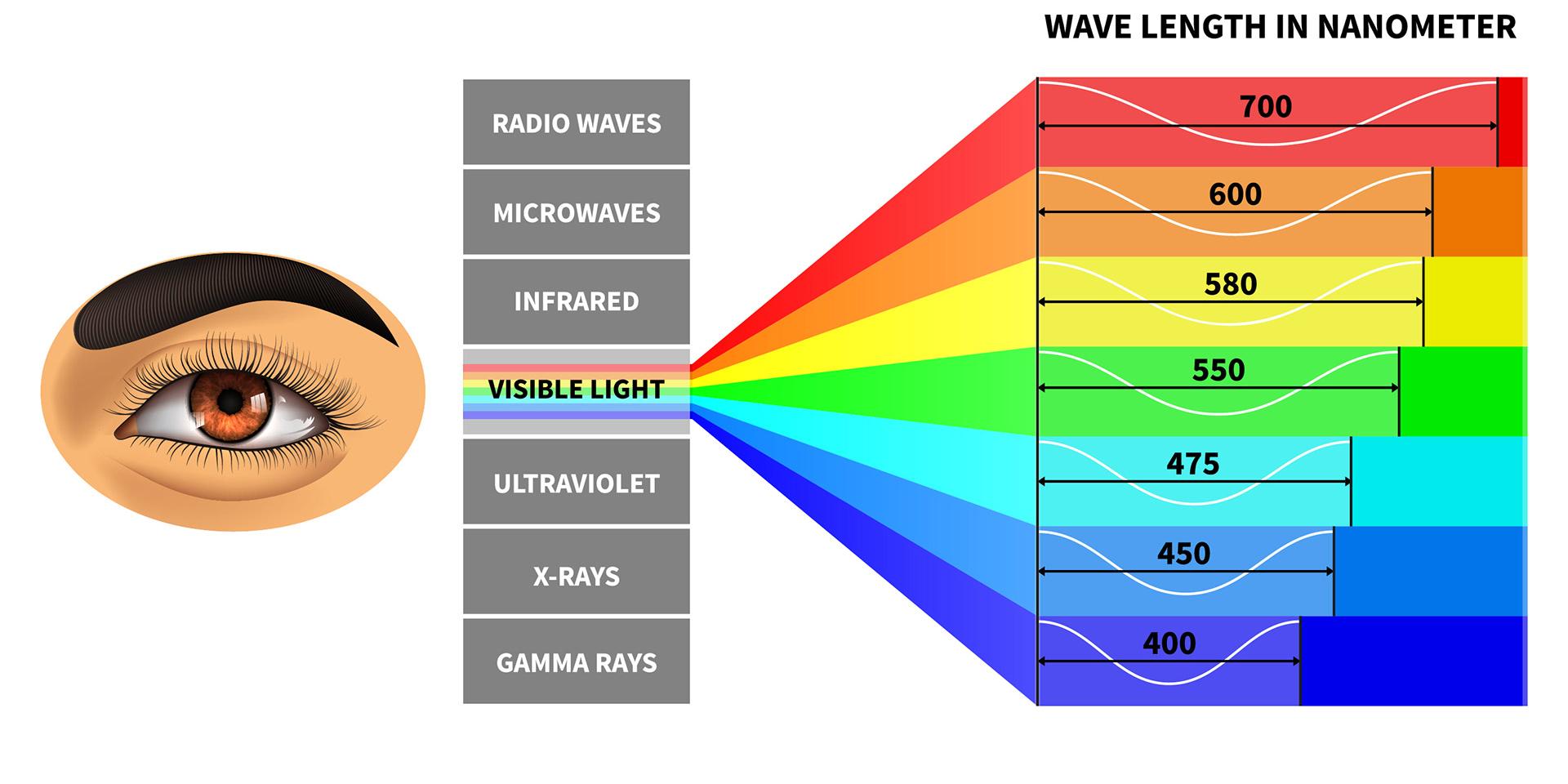 Zichtbaar lichtspectrum