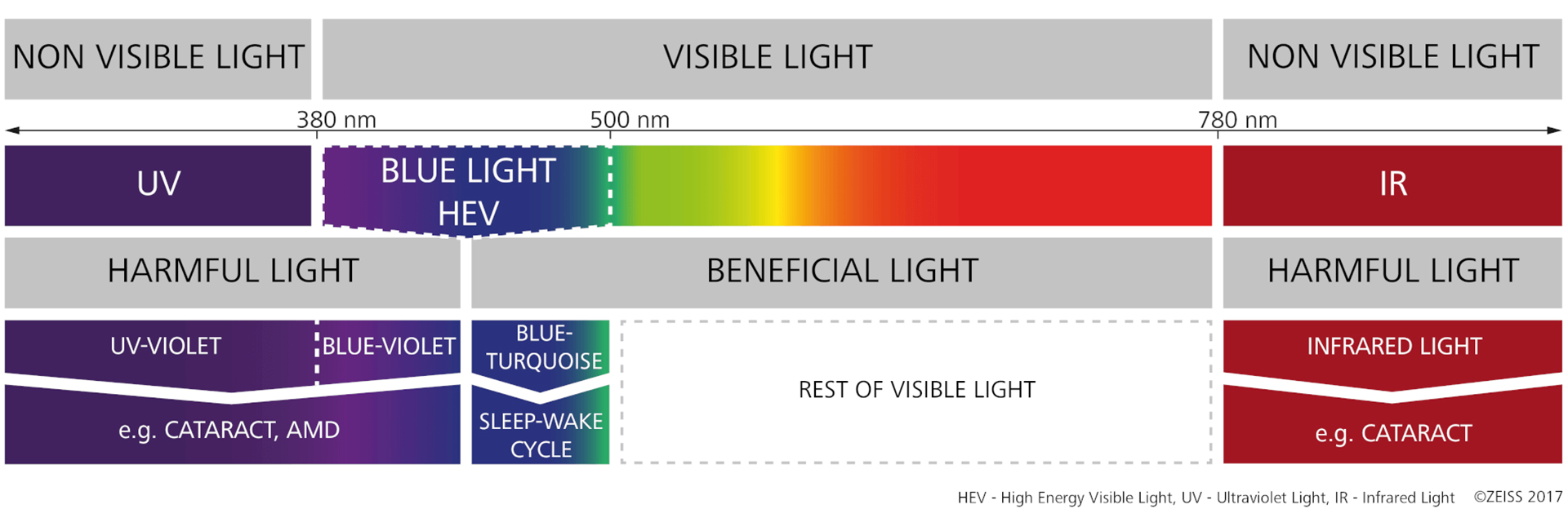 Zichtbaar spectrum